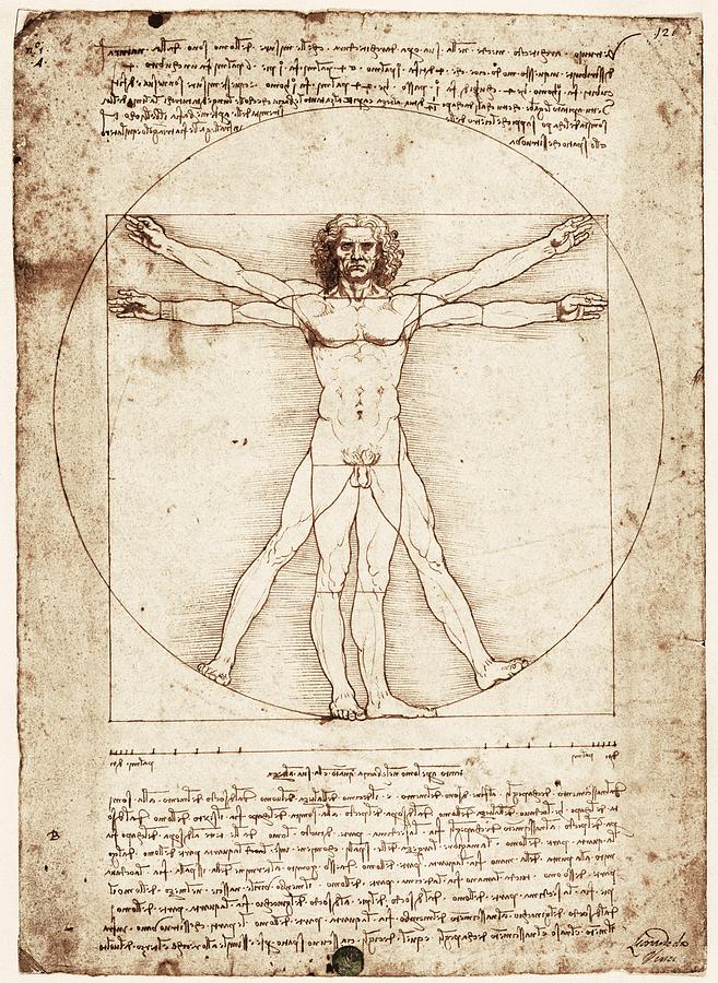 Vitruvian Man. 1492. Renaissance Art Photograph by Everett
