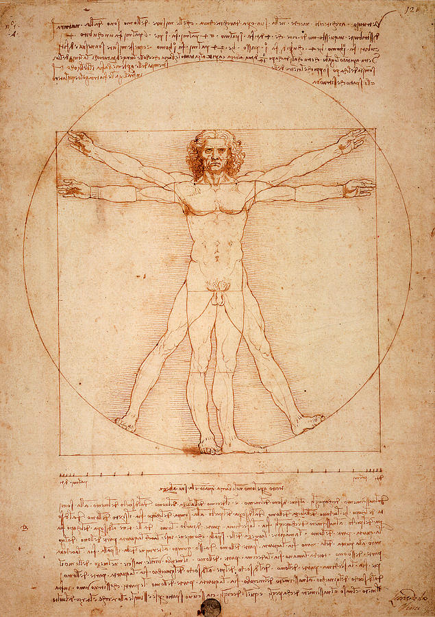 Leonardo Da Vinci Digital Art - Vitruvian Man by Bill Cannon