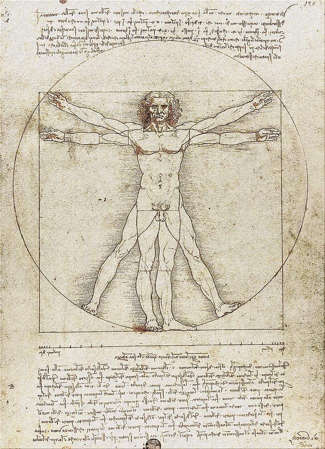 Vitruvian Man by Leonardo da Vinci Digital Art by Serge Averbukh