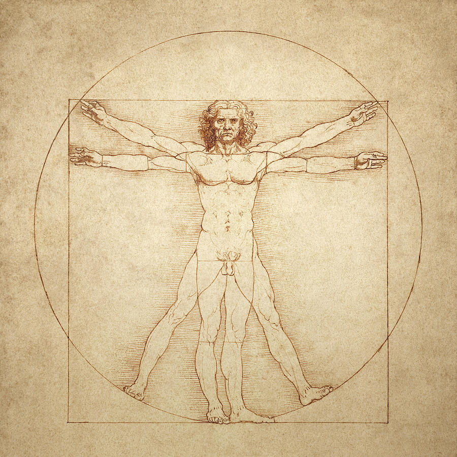 Vitruvian Man by Leonardo da Vinci Drawing by Vaara