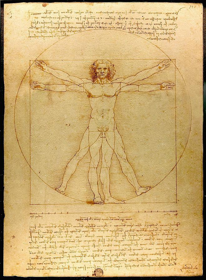 Vitruvian Man Painting by Leonardo da Vinci
