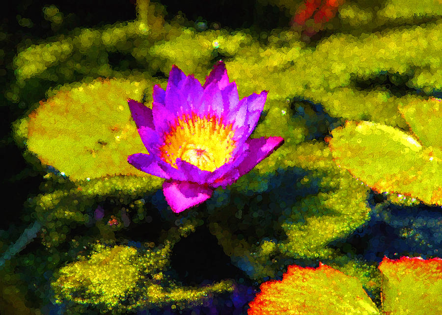 Vivacious Waterlily Impression Digital Art by Georgia Mizuleva