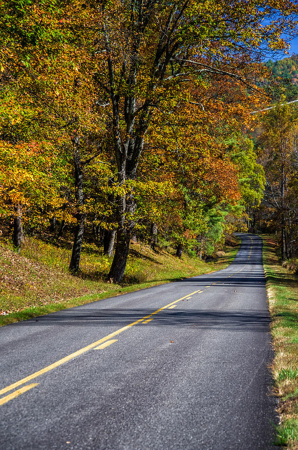 Vivid Autumn Colors along a Scenic Highway Photograph by Lori Coleman