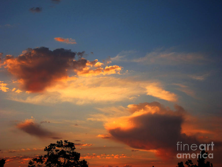 Vivid Clouds Photograph by Debra Thompson
