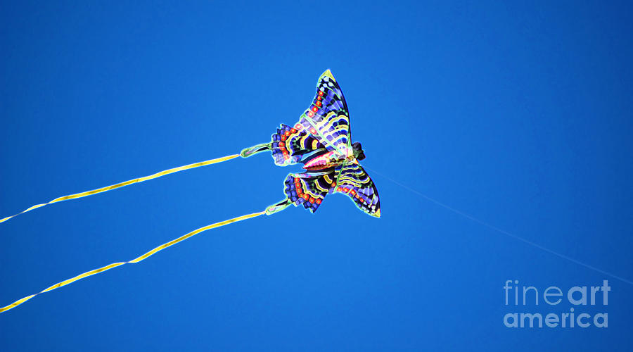 Vivid Colorful Butterfly Kite Flying in Brilliant Blue Sky Accented Edges Digital Art Digital Art by Shawn OBrien