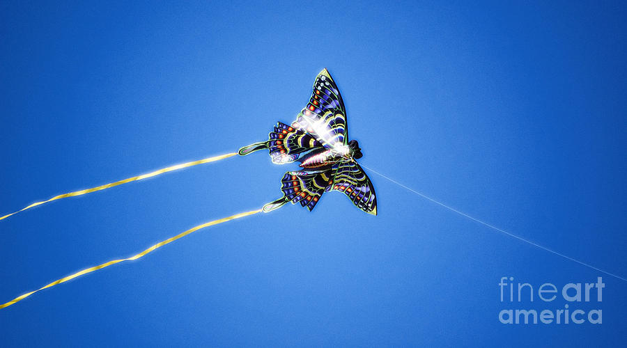 Vivid Colorful Butterfly Kite Flying in Brilliant Blue Sky Diffuse Glow Digital Art Digital Art by Shawn OBrien