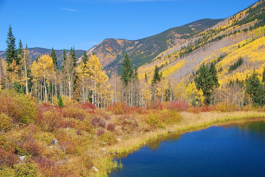 Vivid Colors of Autumn - Colorado Landscape Photograph by Cascade Colors