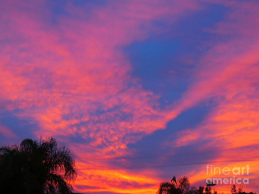 Vivid Purple Blue and Golden Orange Sunset Clouds ll. Photograph by Robert Birkenes