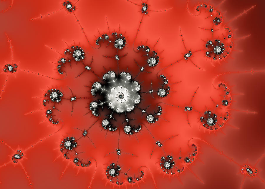 Vivid red and grey fractal abstract Digital Art by Matthias Hauser