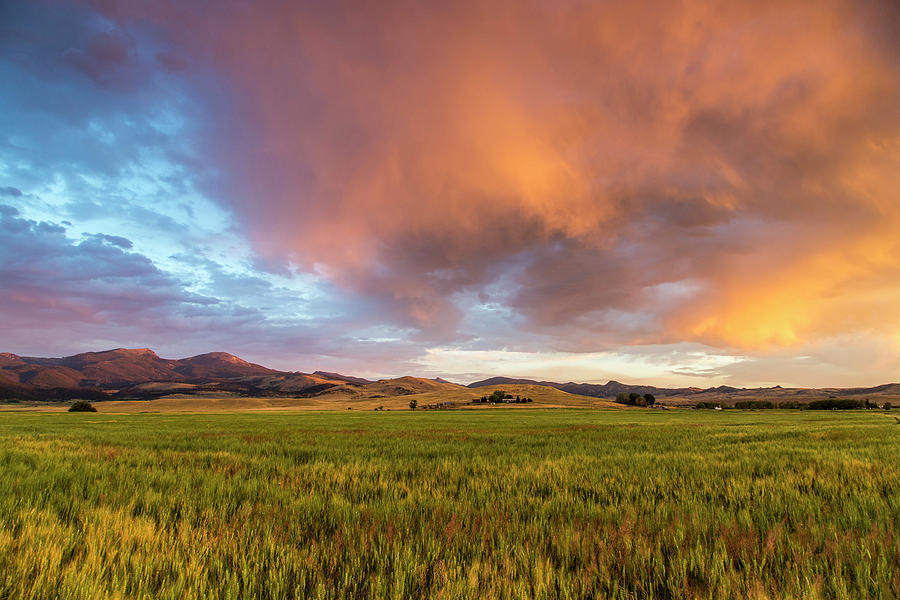 Vivid Sunrise Clouds Over Mid Growth Photograph By Chuck Haney