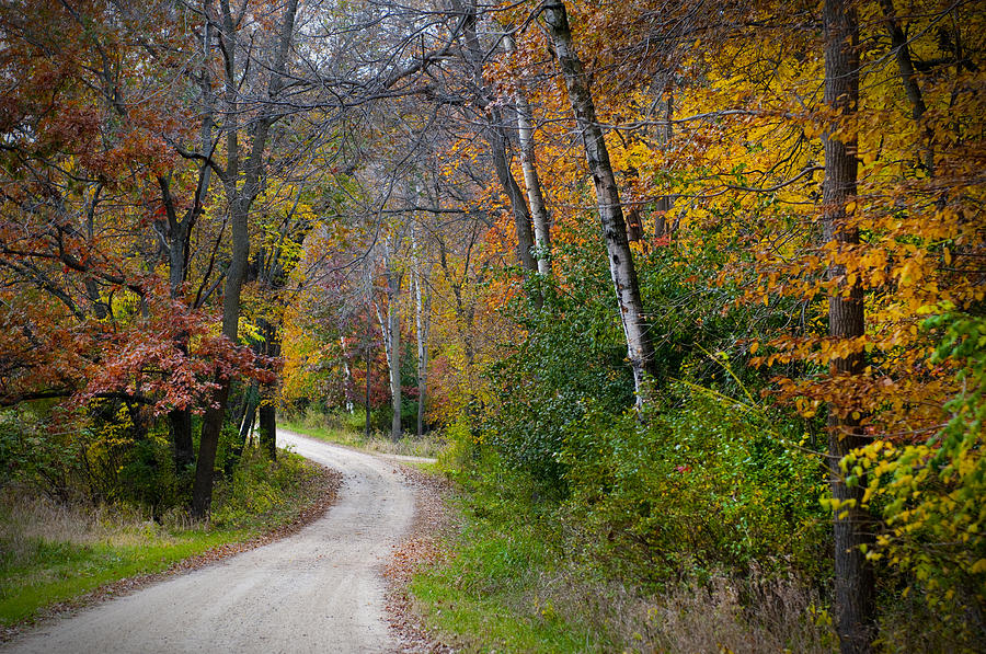 Vividly colored picture of dirt road in forest during Autumn Photograph by JenniferPhotographyImaging