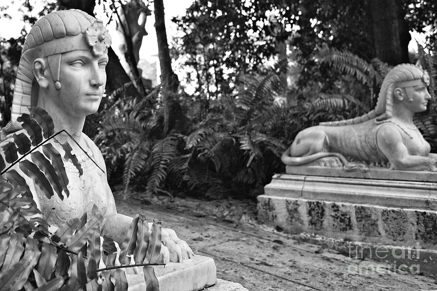 Miami Photograph - Vizcaya Sphinx by Eyzen M Kim