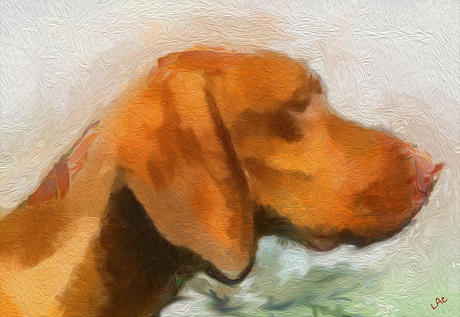 Vizsla Bela Painting by Doggy Lips