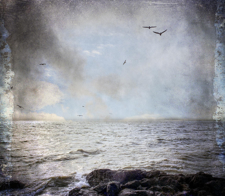 Voice of the Sea Photograph by Michele Cornelius