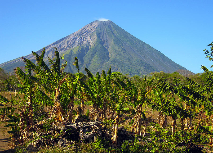 Banana Photograph - Volcan Concepcion Nicaragua by Kurt Van Wagner