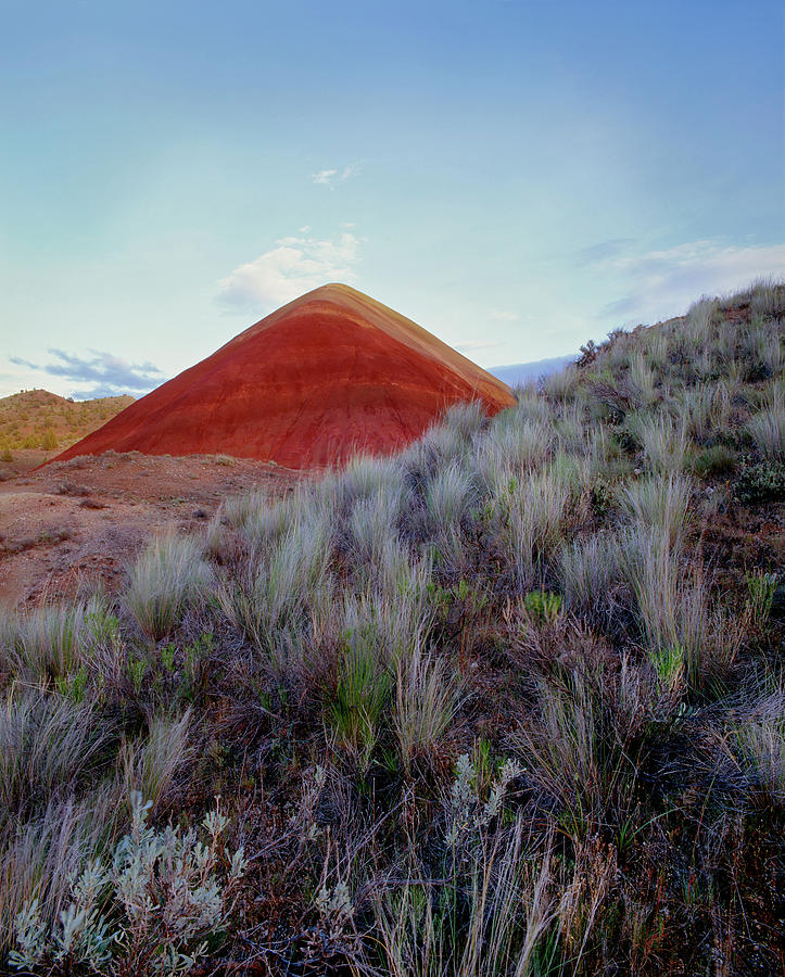 Volcanic Cinder Cone, Painted Hills Photograph by Panoramic Images