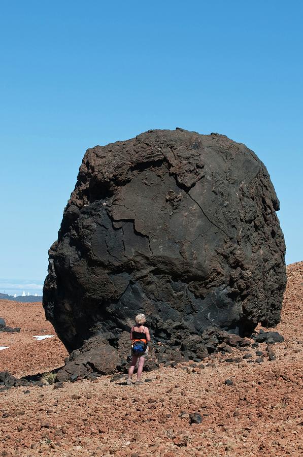 Teide National Park Photograph - Volcanic egg by Dr. John Brackenbury/science Photo Library