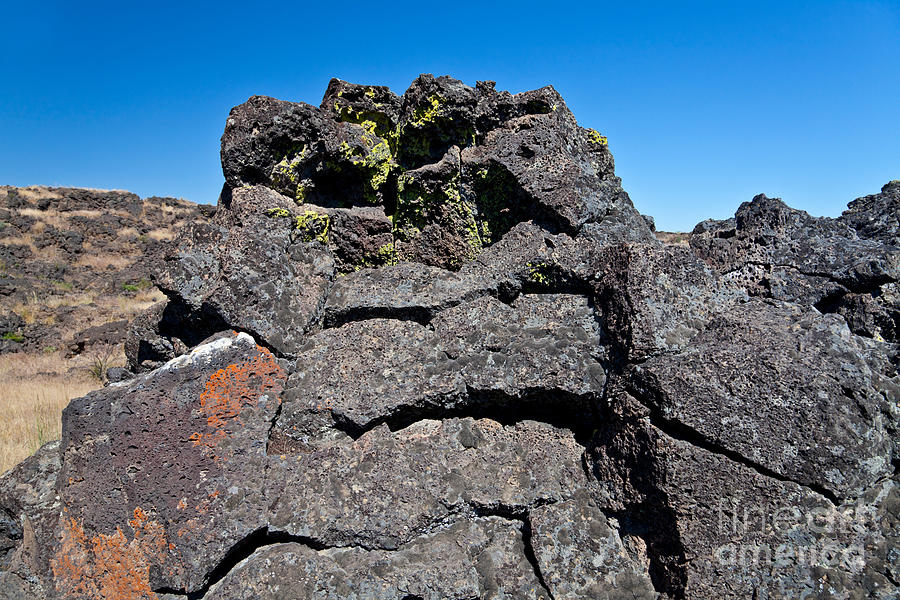 Volcanic Rock With Lichen Photograph by Richard and Ellen Thane