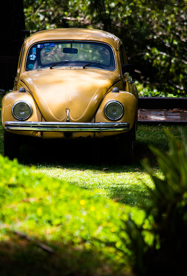 Volkswagen Beetle Photograph by Parker Cunningham