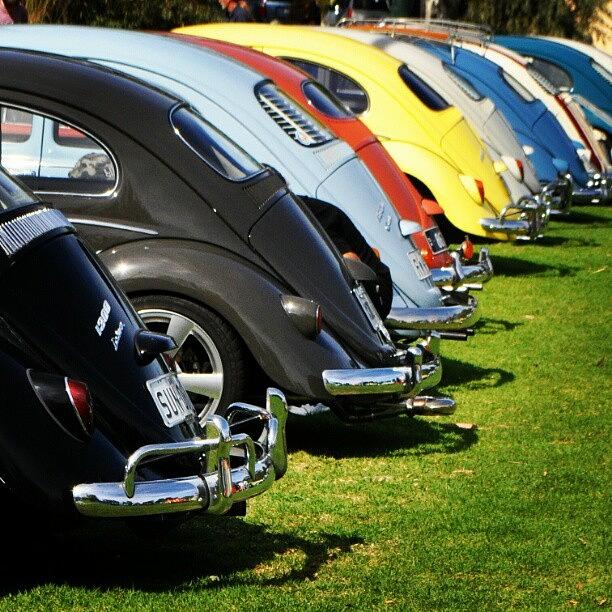 Car Photograph - Volkswagen Line Up by Kirsten Hocking