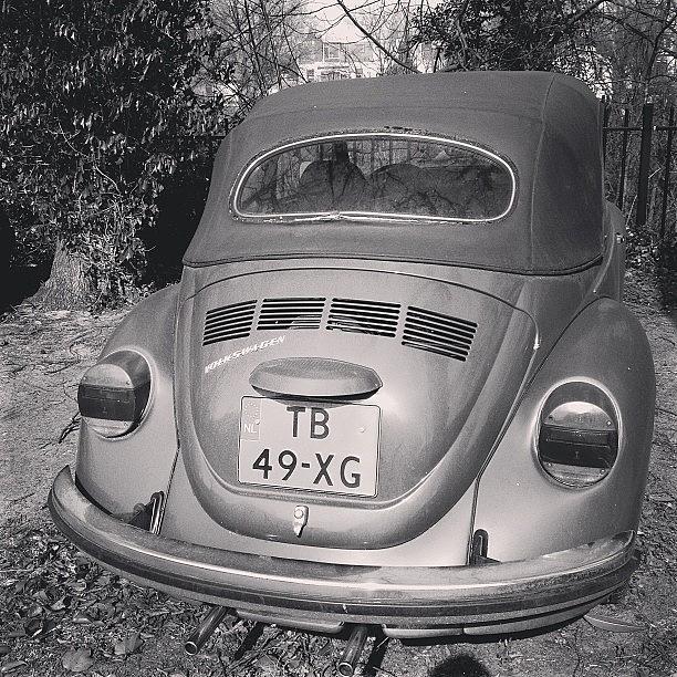 Vintage Photograph - Volkswagen #vw #volkswagenlove #classic by Andy Kleinmoedig