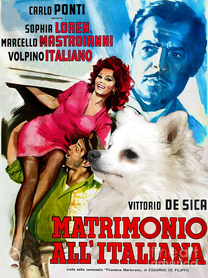 Volpino Italiano Art Canvas Print - Matrimonio All Italiana Movie Poster Painting by Sandra Sij