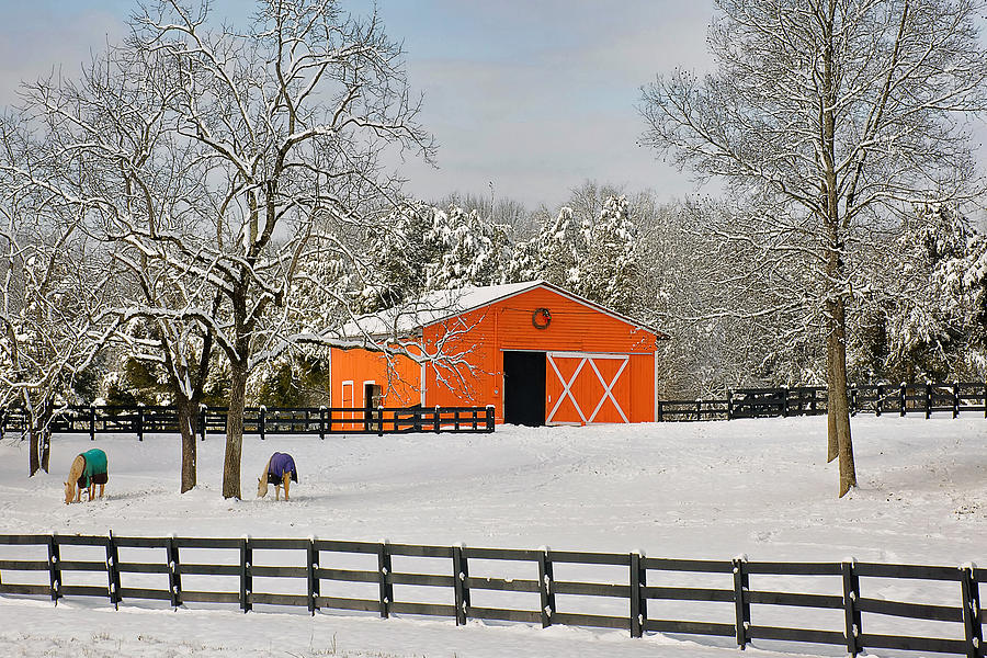 Volunteer Orange Tennessee Barn Photograph by Rhonda McClure