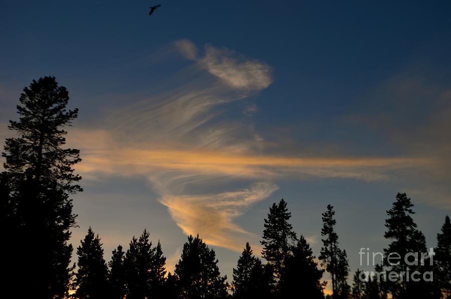 Vortex Cloud Photograph by Johanne Peale