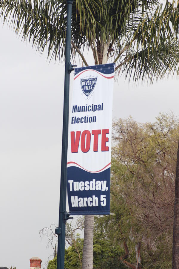 Vote Photograph by Mervin Evans