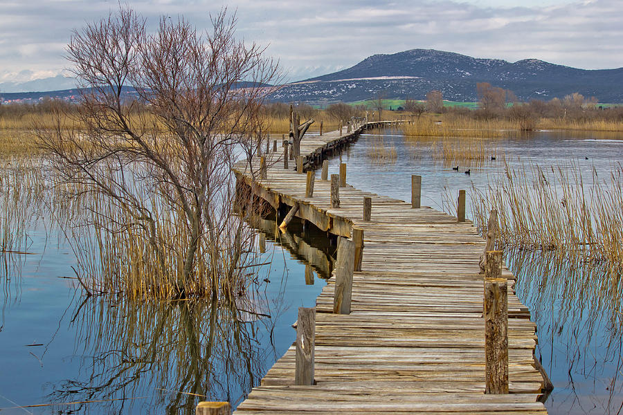 Vrana lake nature park wooden boardwalk Photograph by Brch Photography