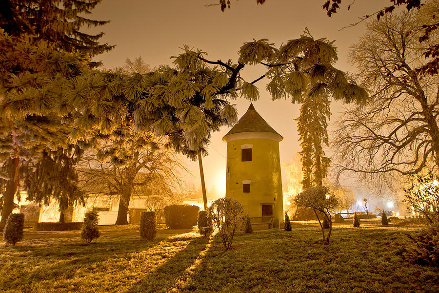 Vrbovec winter night scene in park Photograph by Brch Photography