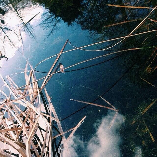 London Photograph - #vscocam #water #ponds #reflections by James Harrison