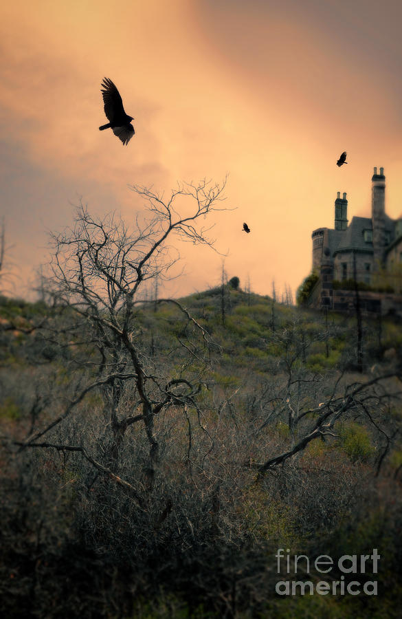 Vultures Circling by Castle Photograph by Jill Battaglia