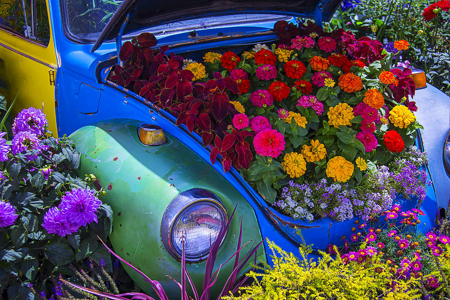 Flower Photograph - VW Bug Garden by Garry Gay