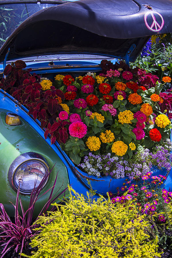 Flower Photograph - VW Bug With Flowers by Garry Gay