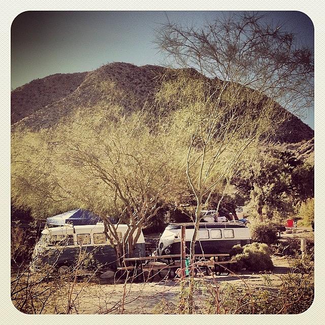 Vw Campers At Agua Caliente Photograph by Olivier Pasco