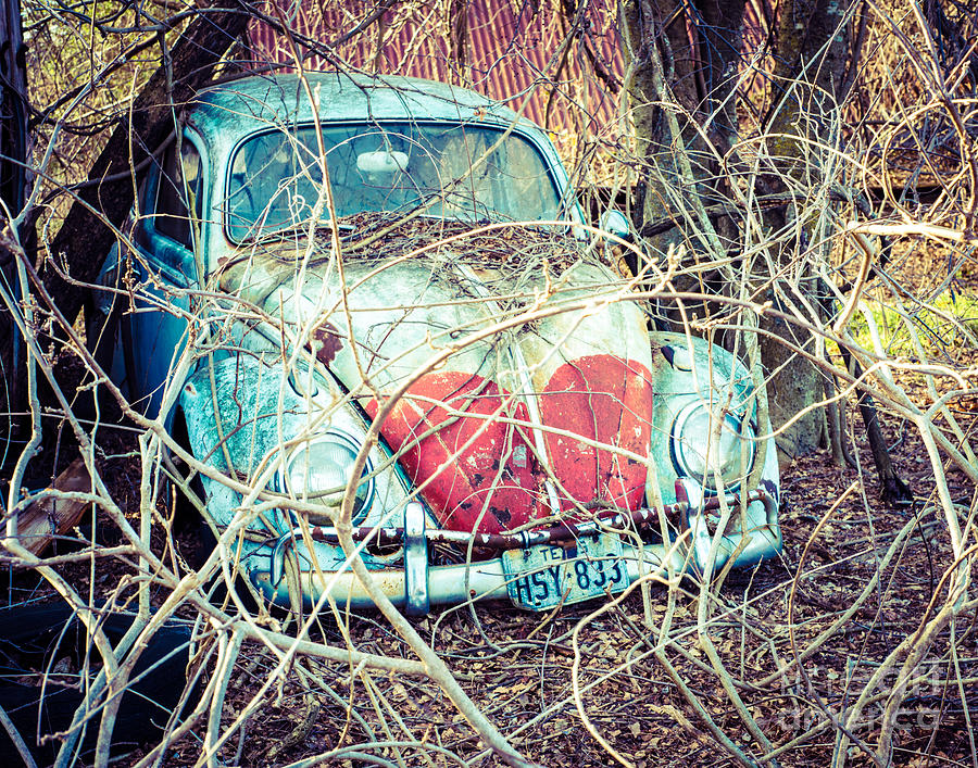 VW in the Vines Photograph by Sonja Quintero