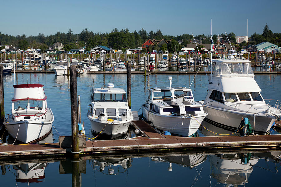 Wa, Ilwaco, Marina, At Port Of Ilwaco Photograph By Jamie And Judy Wild 