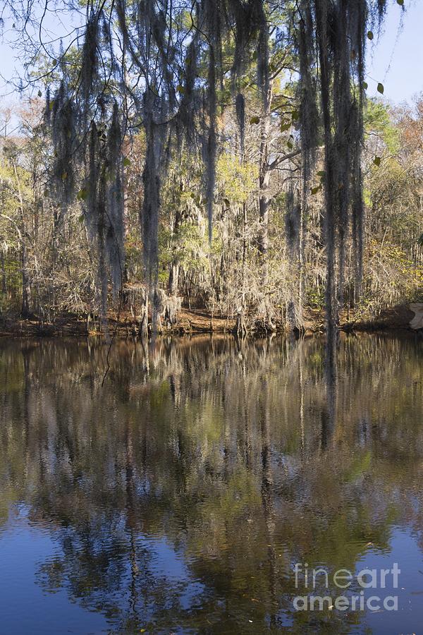 Waccamaw River Reflections Photograph by MM Anderson
