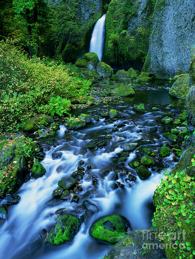 Wachlella Falls Columbia River Gorge National Scenic Area Oregon ...