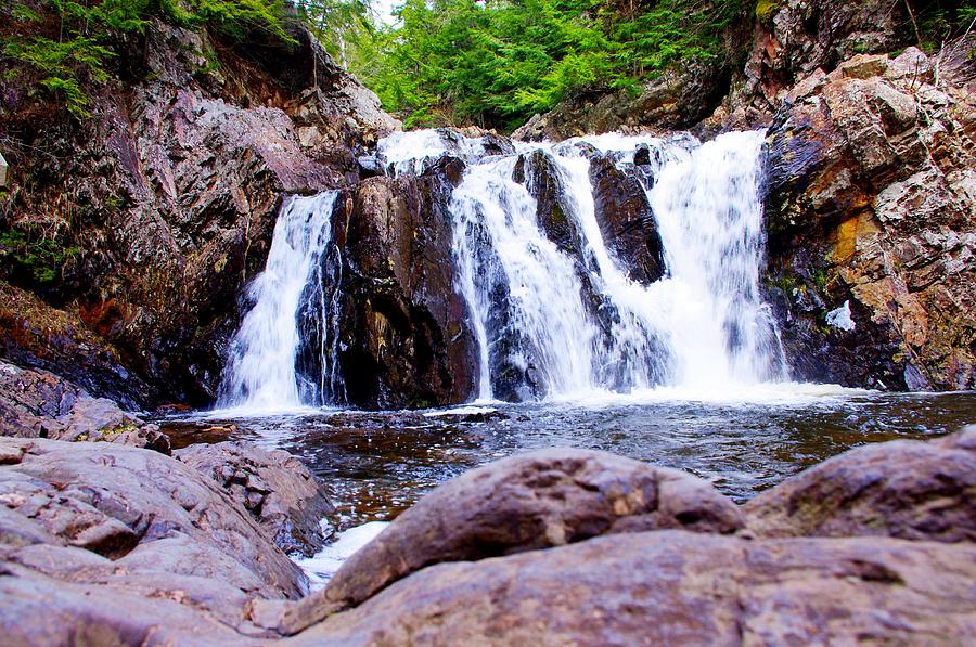 Waterfall Photograph - Waddell Falls by Tim Nichols