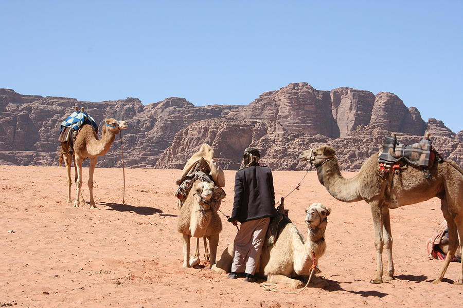 Wadi Rum Photograph by Betty-Anne McDonald