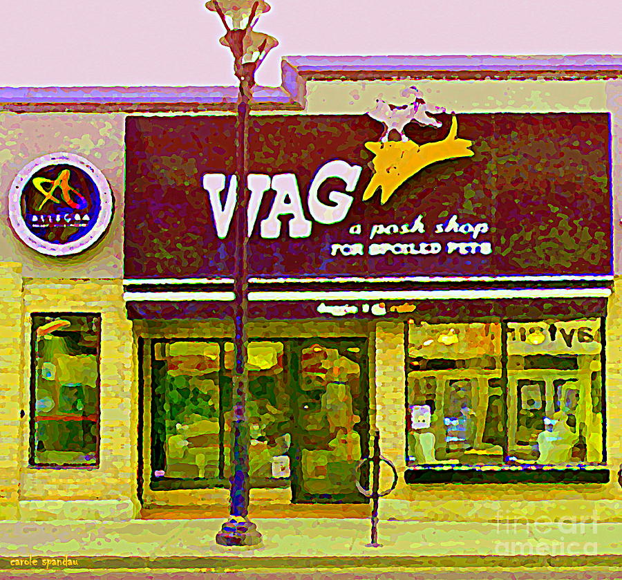 Wag A Posh Pet Store Cafe For Spoiled Pets The Glebe Paintings Of Old Ottawa South Carole Spandau  Painting by Carole Spandau