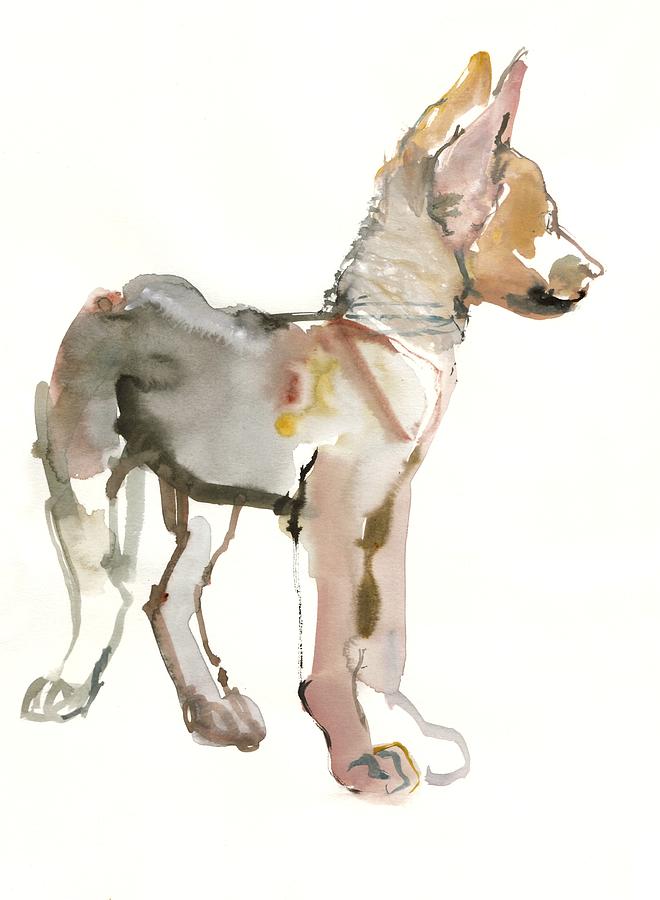 Waggle Arabian Wolf Pup Painting by Mark Adlington