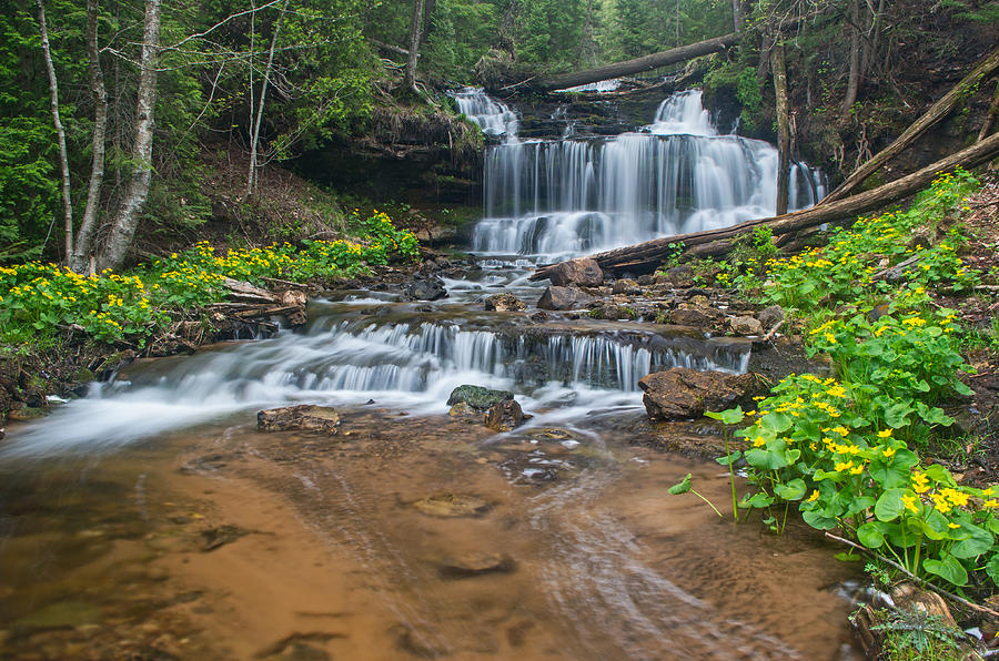 Wagner Falls  Photograph by Gary McCormick