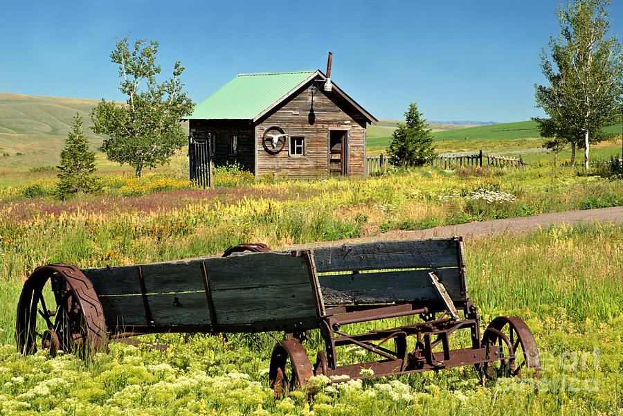 Wagon and Shed Photograph by Roxie Crouch