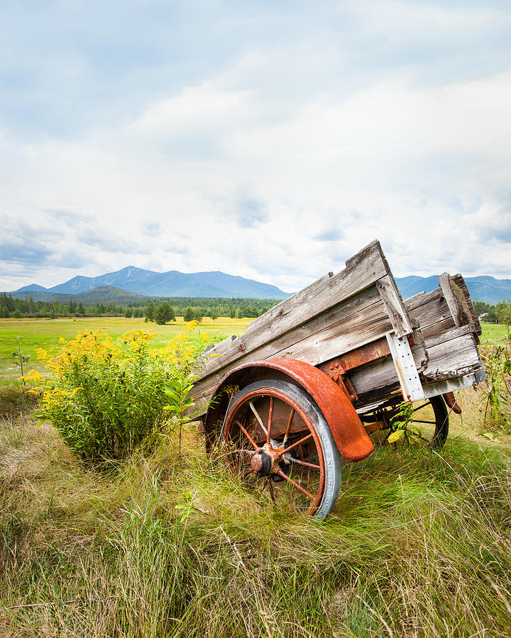 Wagon and Wildflowers - Vertical Composition Photograph by Gary Heller