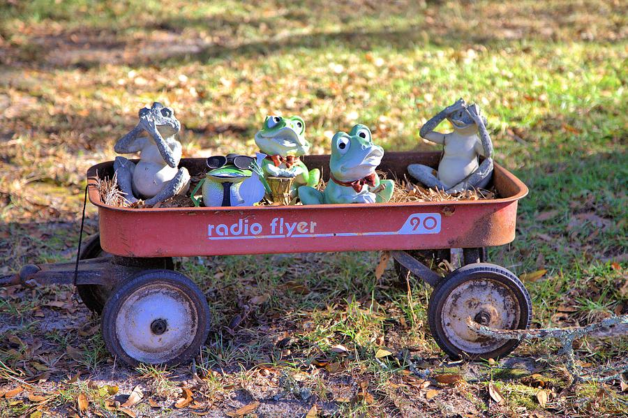 Wagon full of Frogs Photograph by Gordon Elwell