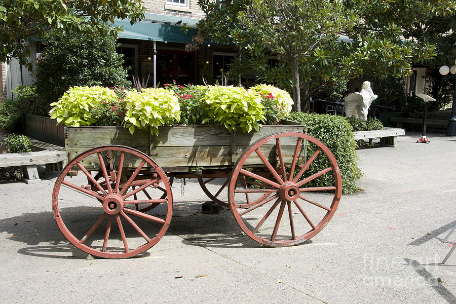 wagon of flowers on Julian Street Photograph by Ules Barnwell