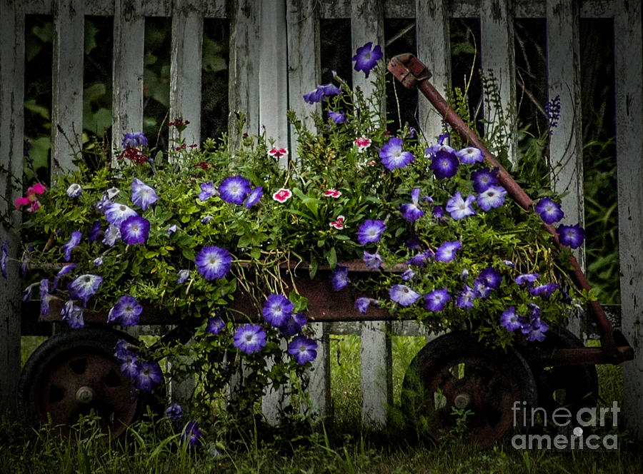 Wagon of Flowers Photograph by Ronald Grogan